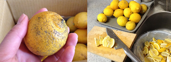 塩レモンの作りかたの写真